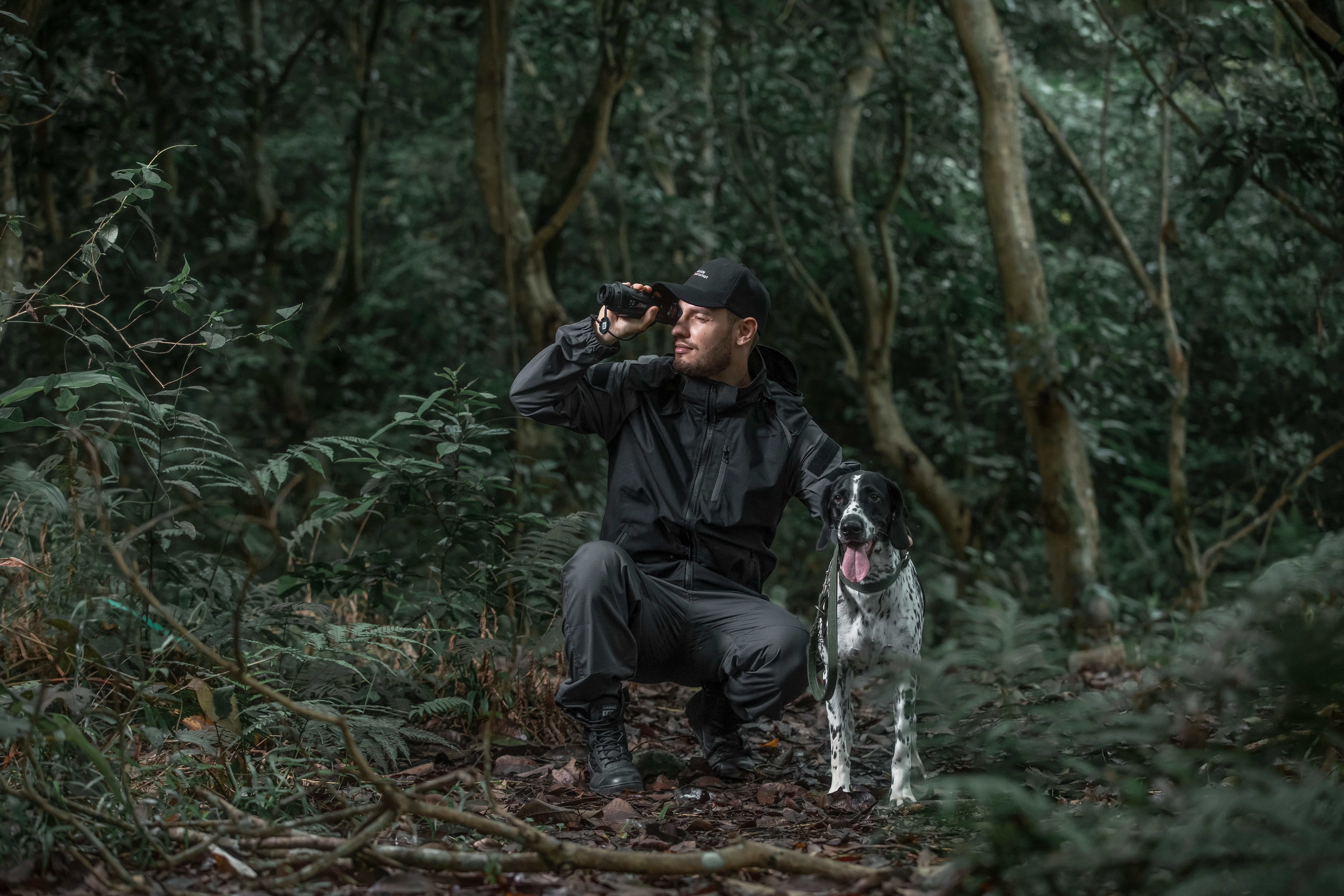 Fondo promocional de comparador